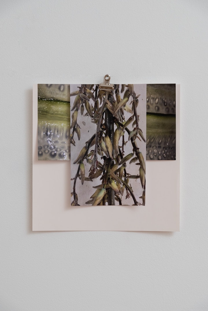 202306_Carolin Meyer1577