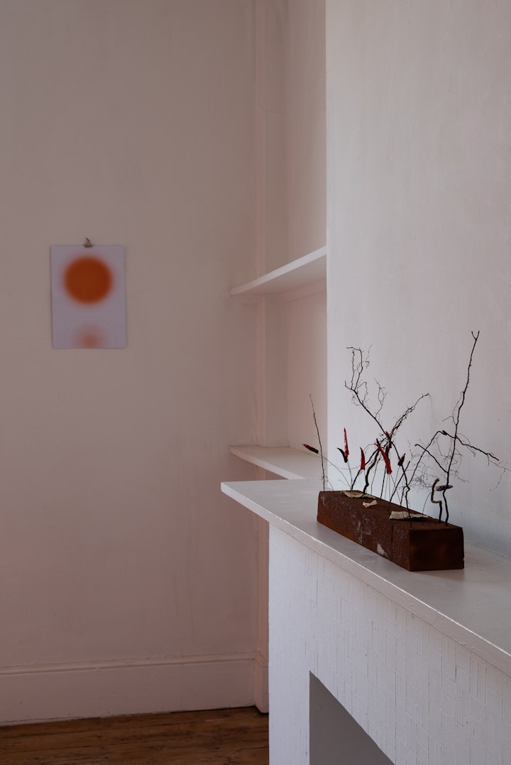 202306_Carolin Meyer1402