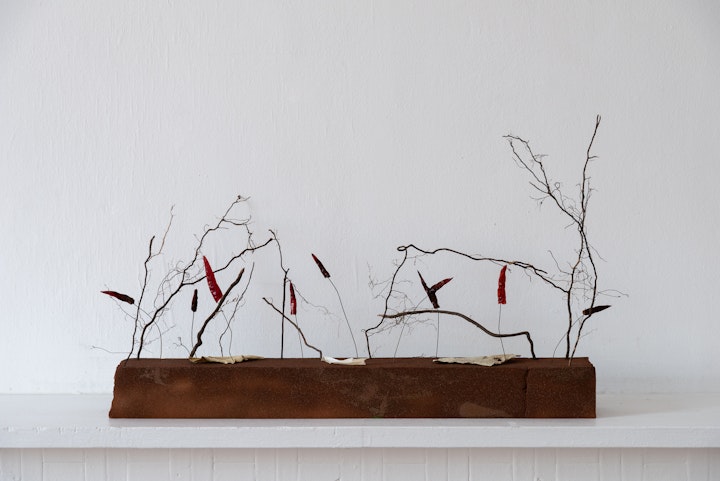 202306_Carolin Meyer1362