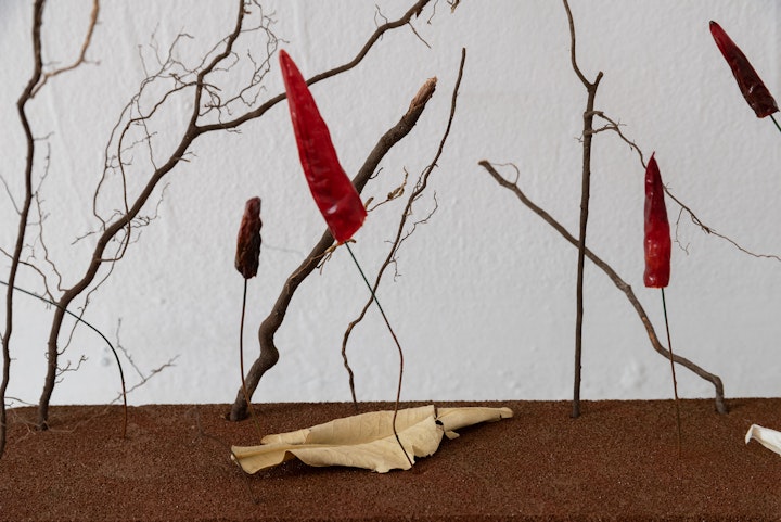 202306_Carolin Meyer1554