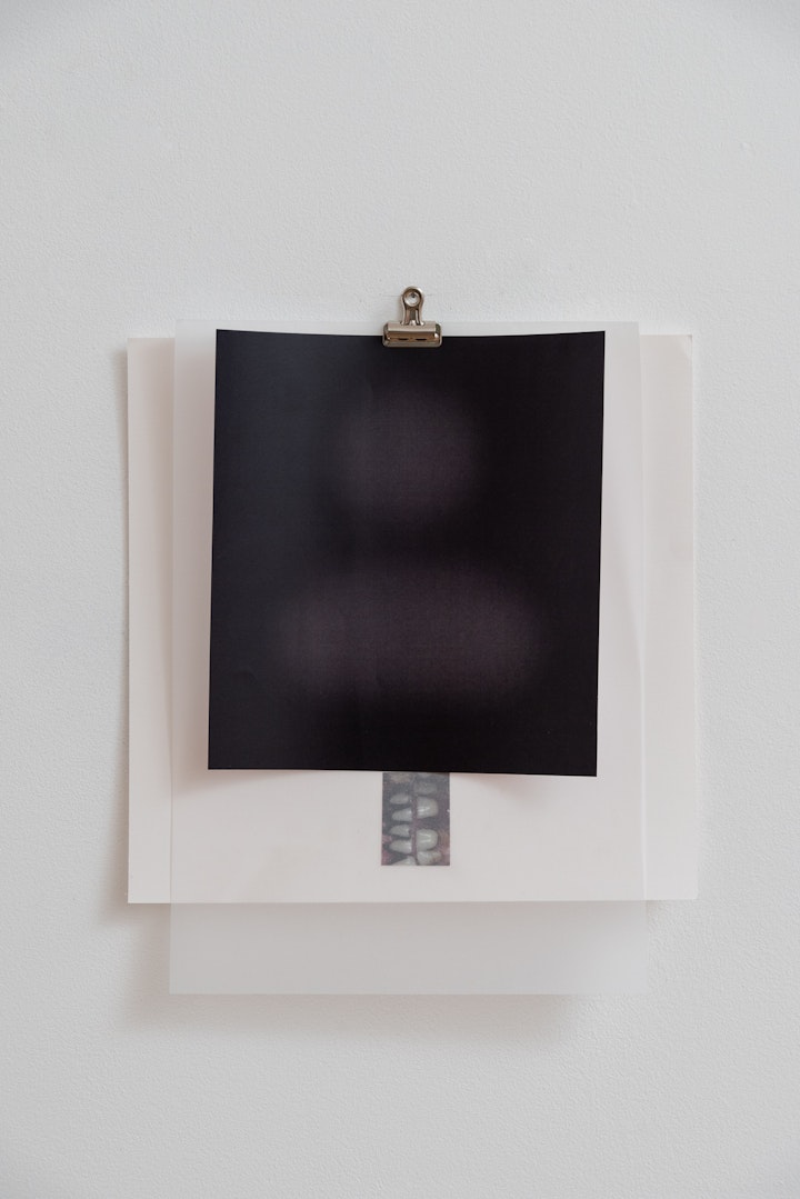 202306_Carolin Meyer1579