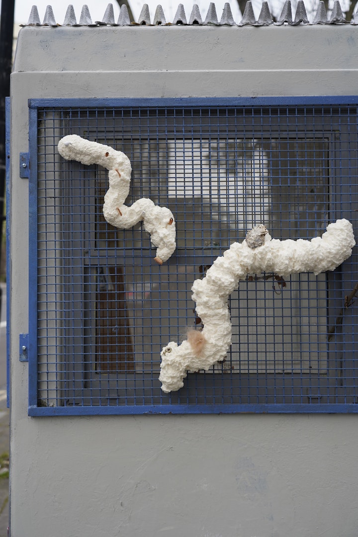 resized future of belo