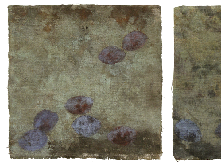 Zwetschgen, 2010 #14, Tempera auf Leinen, vierteilig je 21 x 21 cm