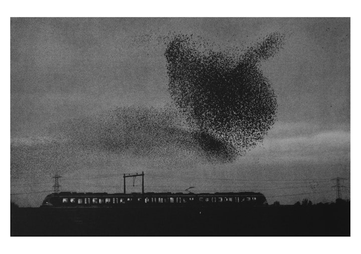 Der Flug der Stare, 9.-24. September