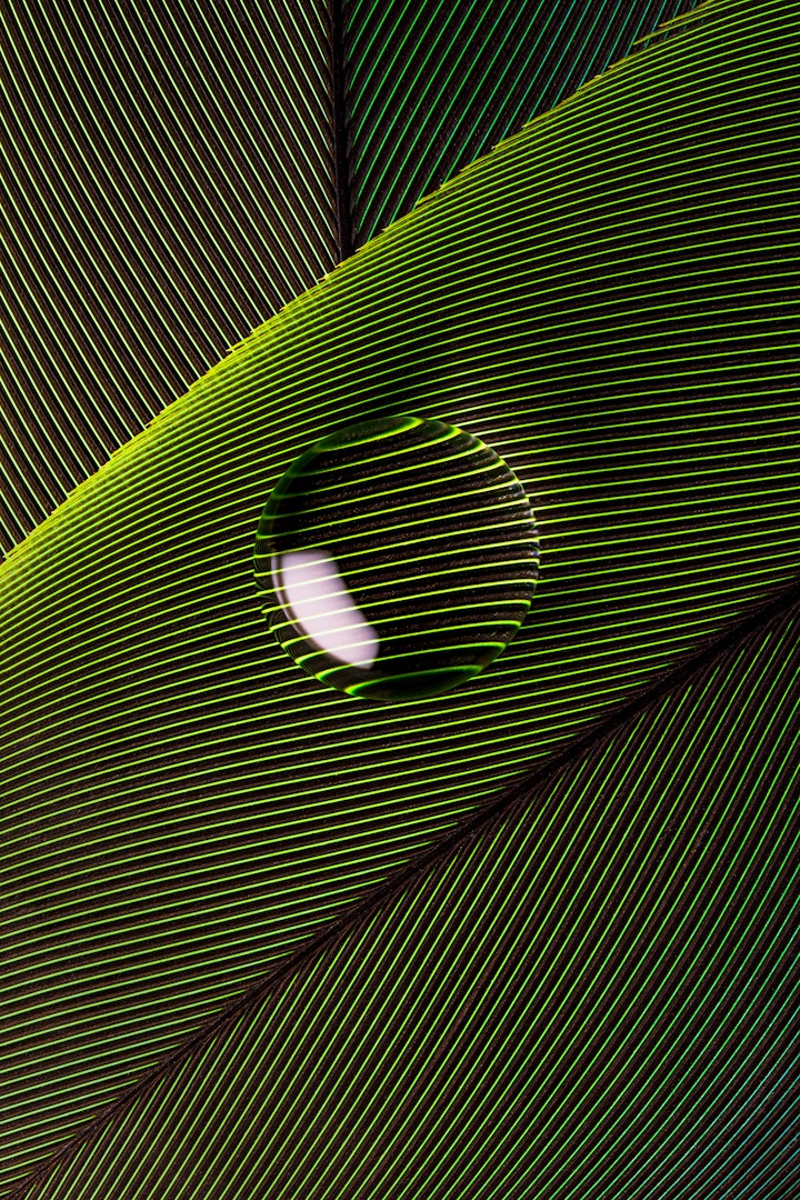 Hidrofóbico / Hydrophobic