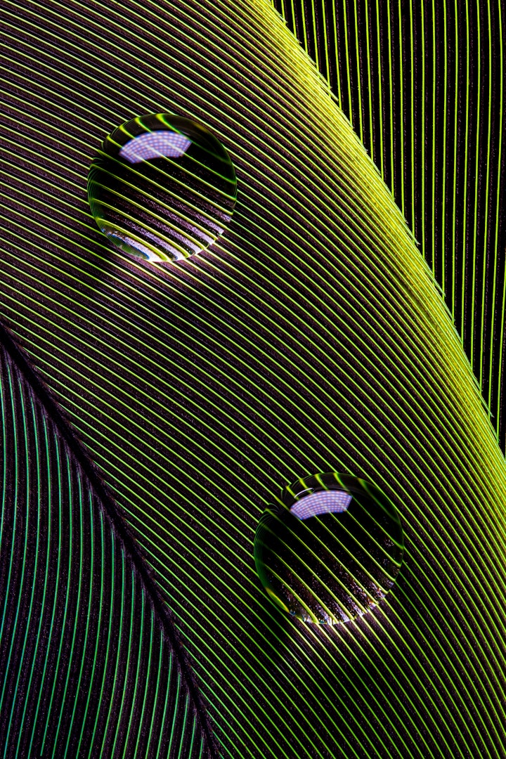 Hidrofóbico / Hydrophobic