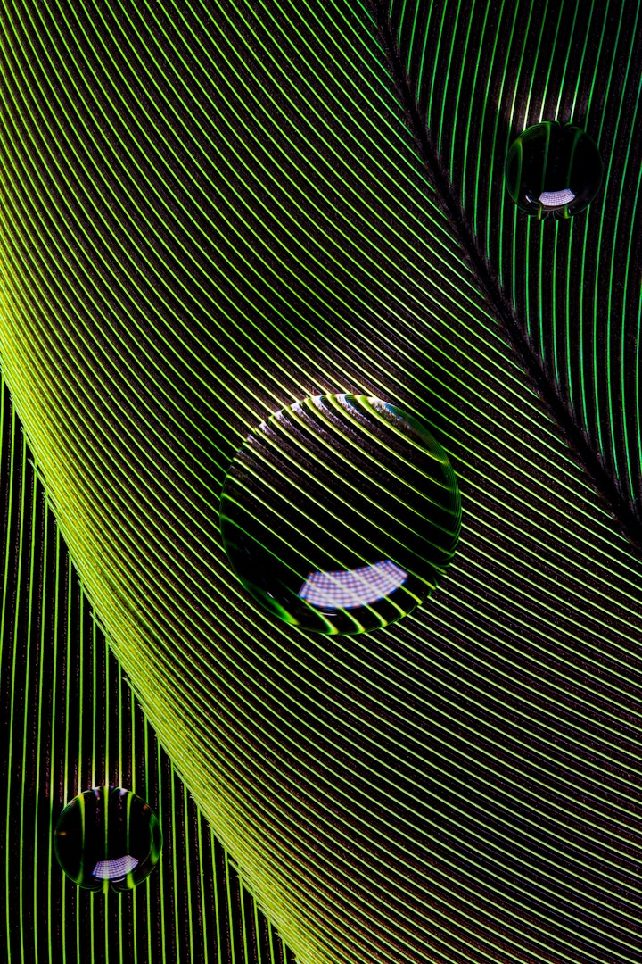 Hidrofóbico / Hydrophobic