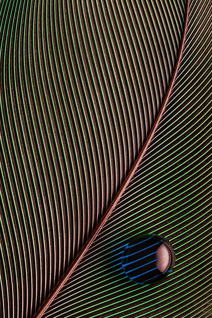 Hidrofóbico / Hydrophobic