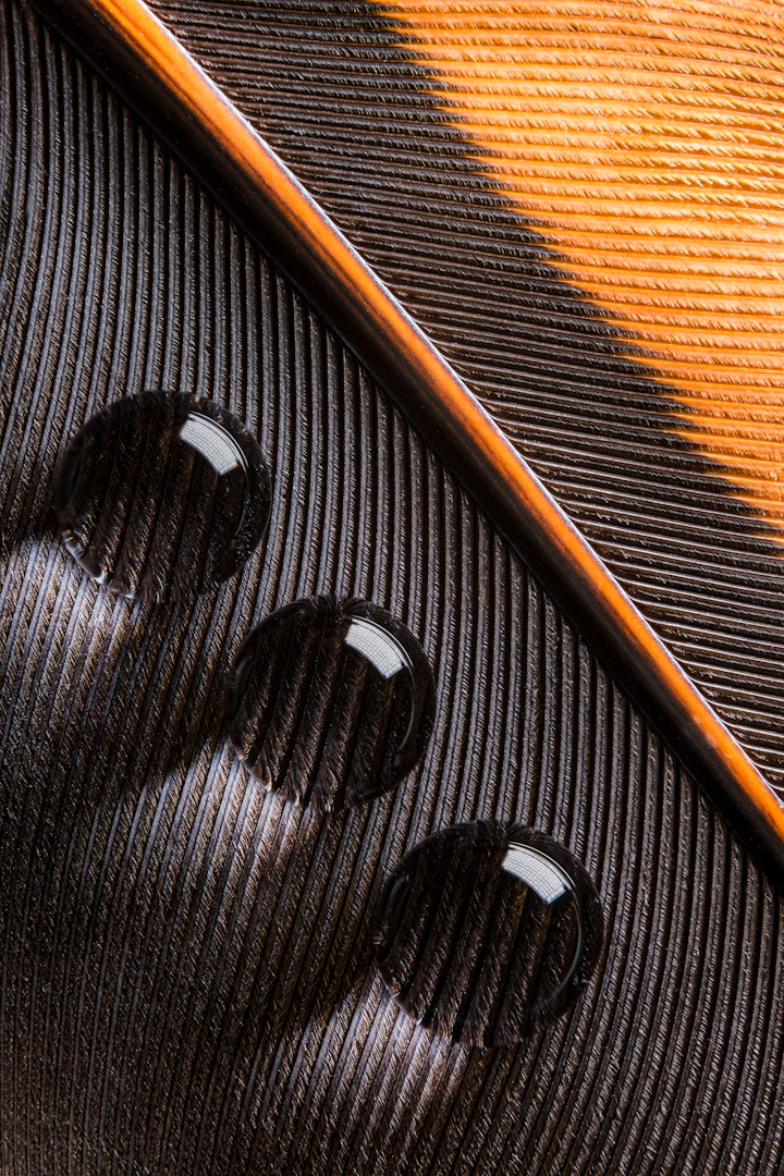 Hidrofóbico / Hydrophobic