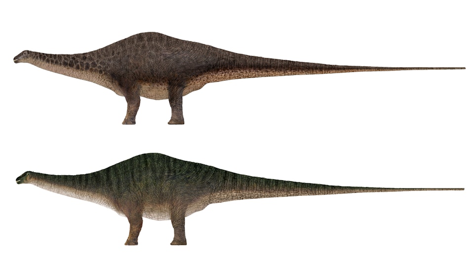 Apatasaurus dinosaur skin concept