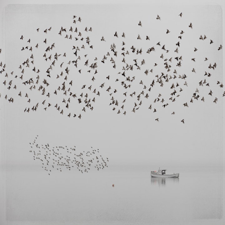 fine art photographic prints - 'Segregation'.  Available as a fine art limited edition giclee print on museum quality acid free 320gsm paper. Image area 22x22cm. £90 includes postage UK. Email for details steve@stevedeer.co.uk