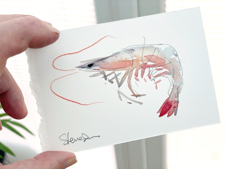affordable watercolours - Prawn. Arches Aquarelle 640gsm Hot Pressed paper. Roughly 14x9cm. £40 includes UK postage.