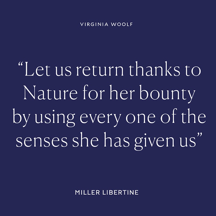 Quotes for Miller Libertine - 