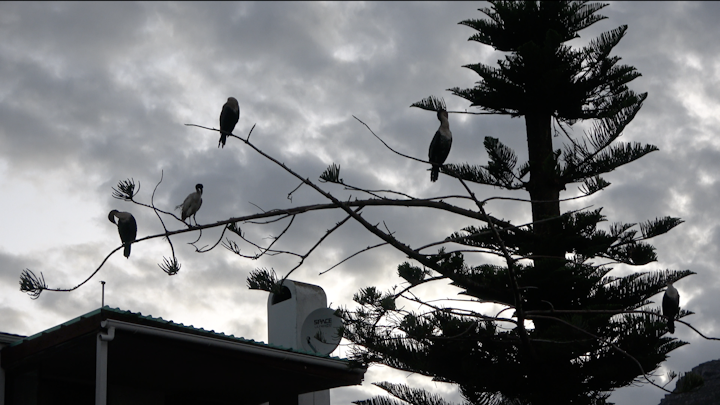 Jamila Prowse - Screenshot 2023-10-10 at 13.45.27