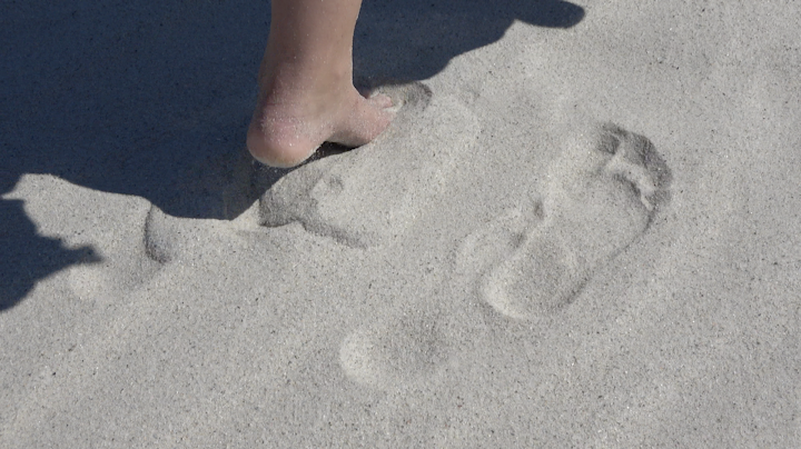 Jamila Prowse - Screenshot 2023-10-10 at 13.39.40