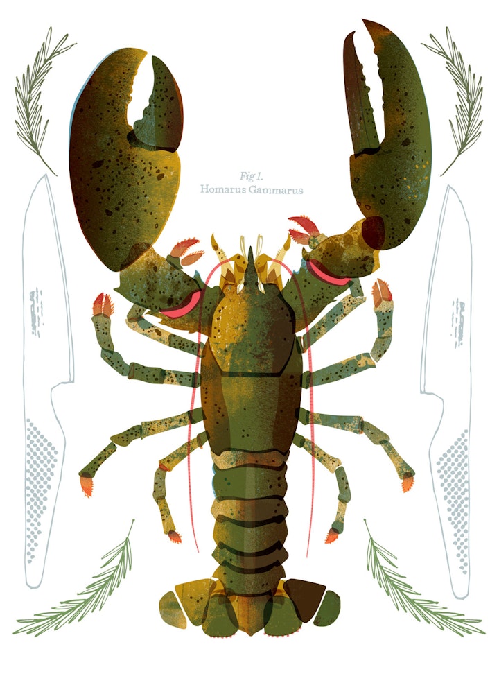Zeeland lobster