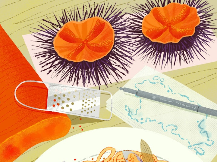 Pasta, sea urchin, botarga, vongole from Sardegna