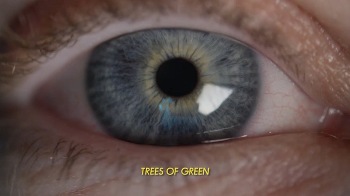 I SEE TREES OF GREEN