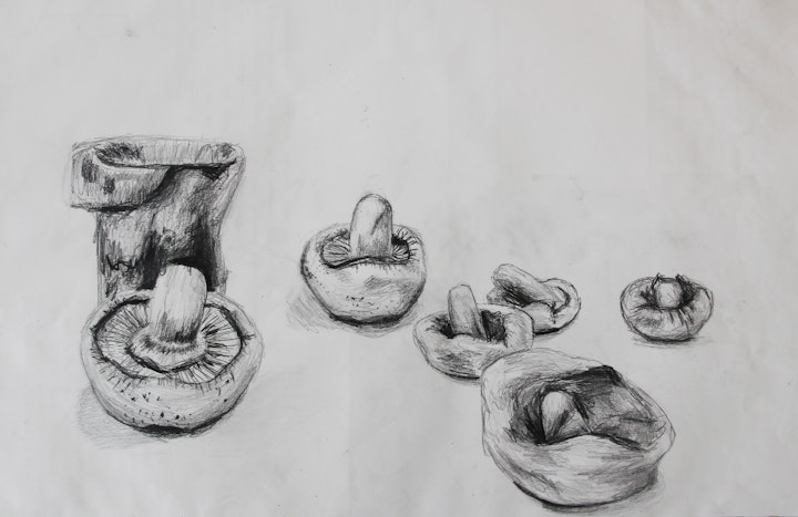 Nature - Clay Mushrooms - 2014 - Pencil on Paper - 30 x 42 cm A3