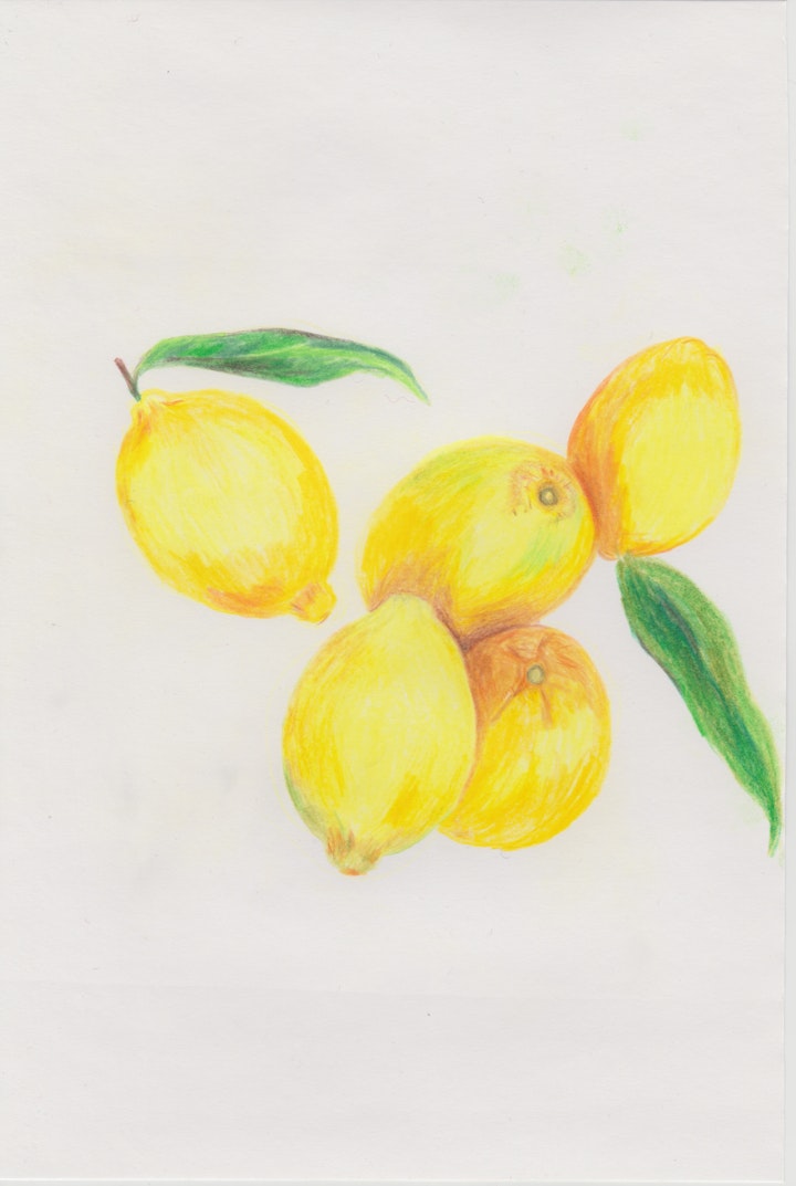 Objects - Citrus - 2020 - Colour Pencil on Paper -  21 x 29 cm A4
