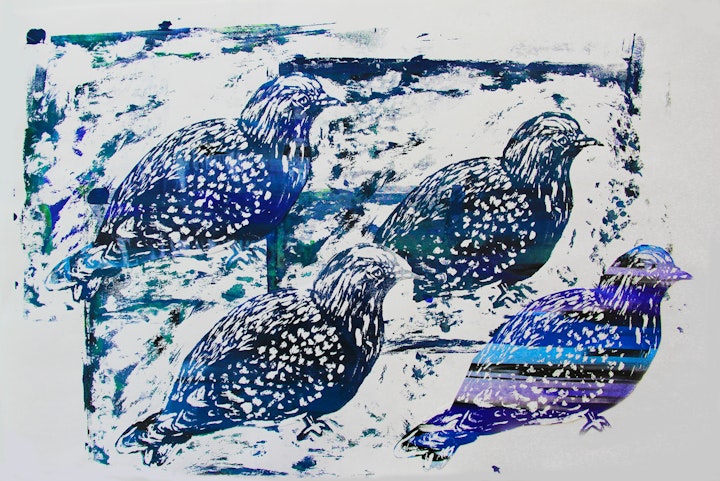 Nature - Pigeon - 2015 - Screen Print on Paper - 30 x 42 cm A3