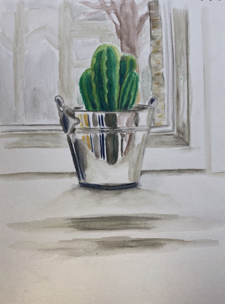 Objects - Cactus - 2020 - Pencil on Paper - 21 x 29 cm A4