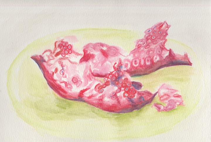 Objects - Pomegranate - 2020 - Colour Pencil Watercolour on Paper - 21 x 29 cm A4
