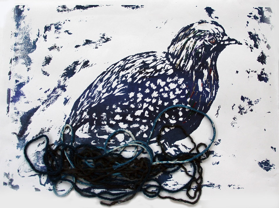 Nature - Pigeon in Nest - 2015 - Screen Print on Paper - 21 x 29 cm A4