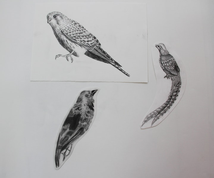 Nature - Birds - 2015 - Pencil on Paper - 30 x 42 cm A3