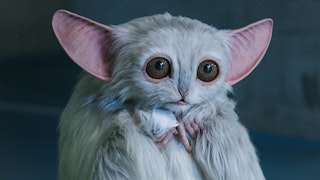 THE MEEP - DOCTOR WHO, THE STAR BEAST