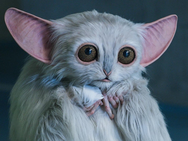 THE MEEP - DOCTOR WHO, THE STAR BEAST