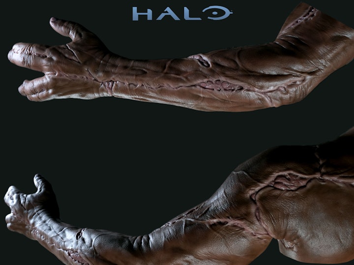 SOREN ARM - HALO SERIES 2