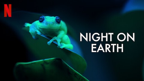 Night on Earth: Frozen Nights