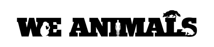 We Animals Media - We Animals logo/identity design
