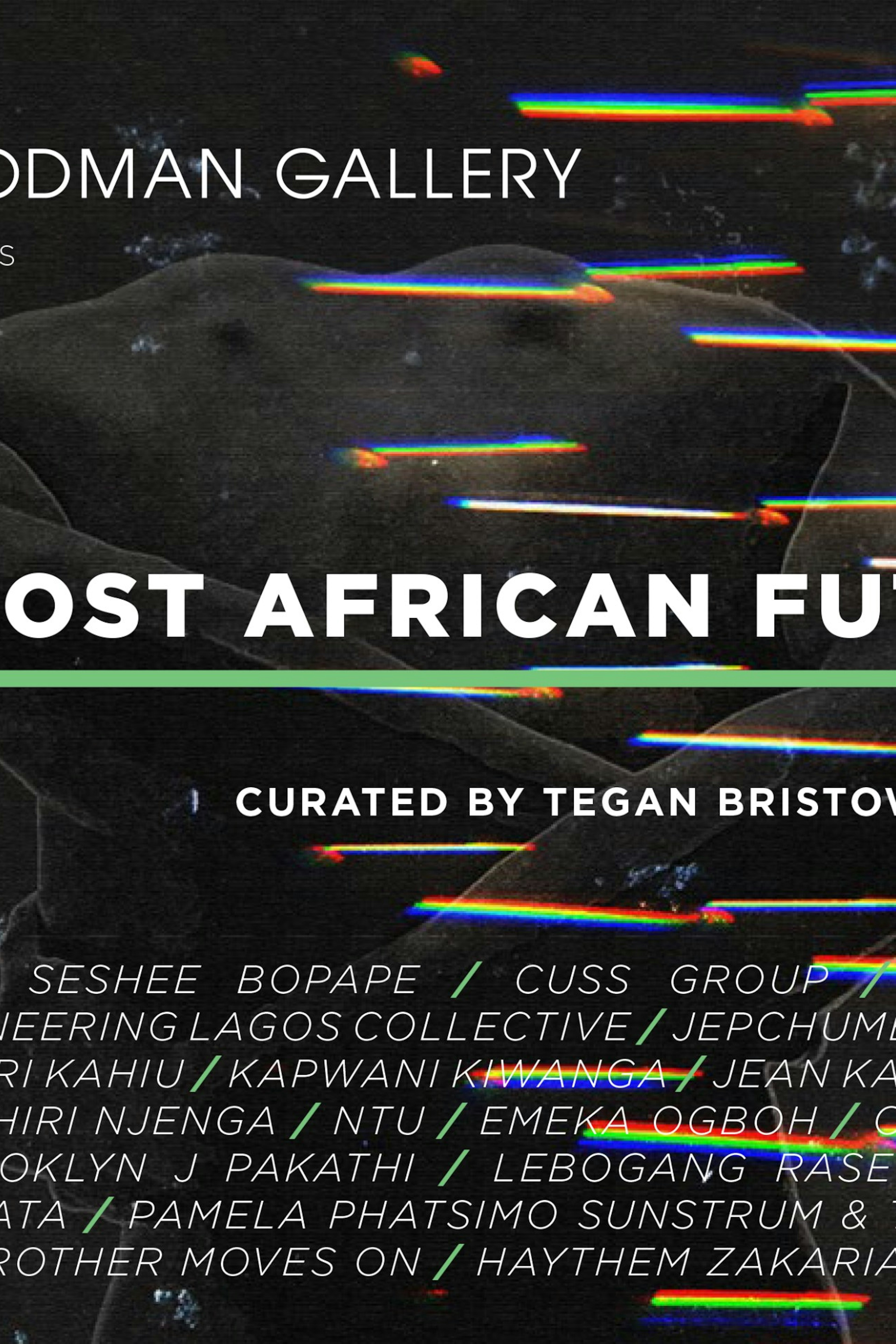 GOODMAN GALLERY: Post African Futures Exhibition
