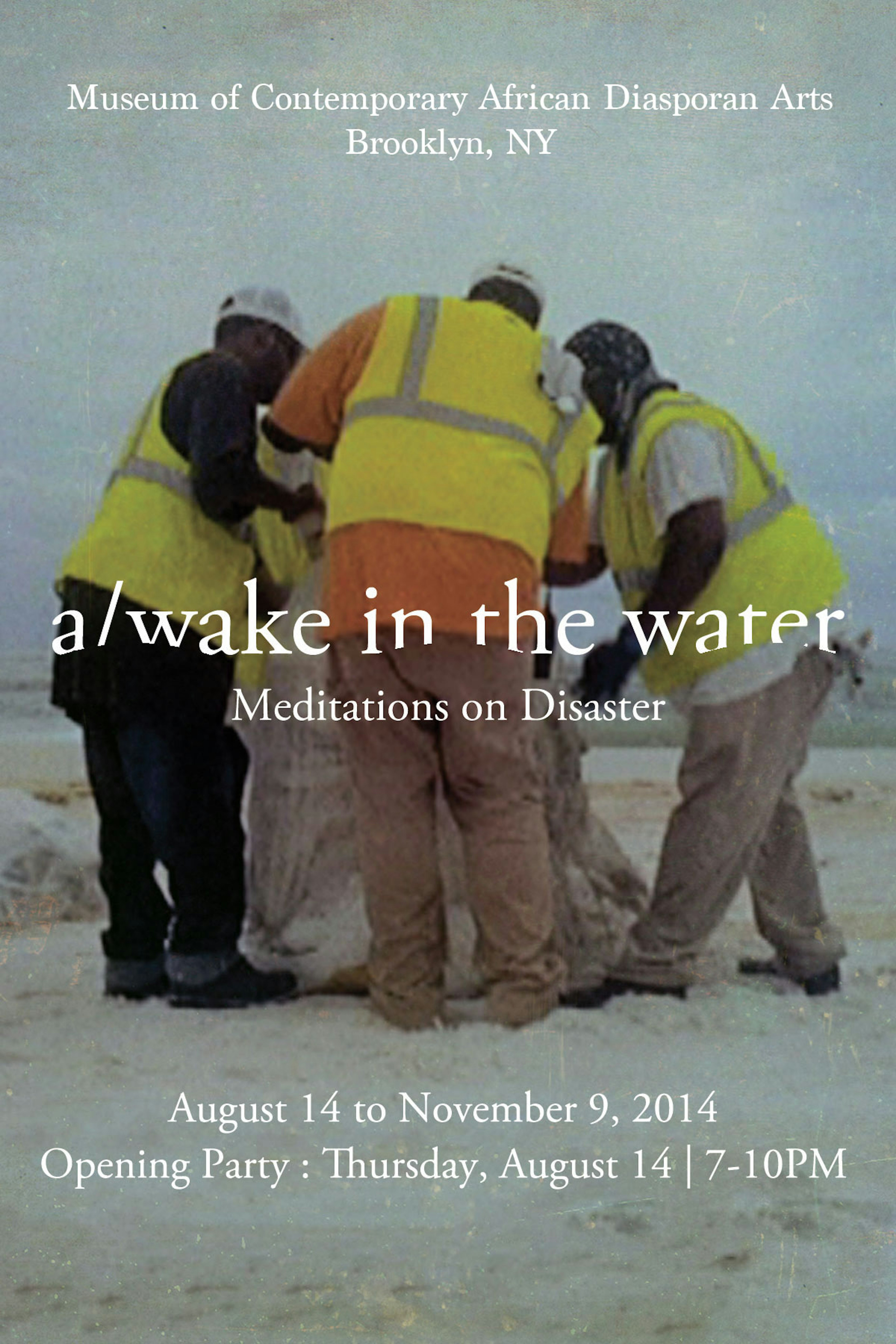MOCADA: A / wake In The Water Exhibition