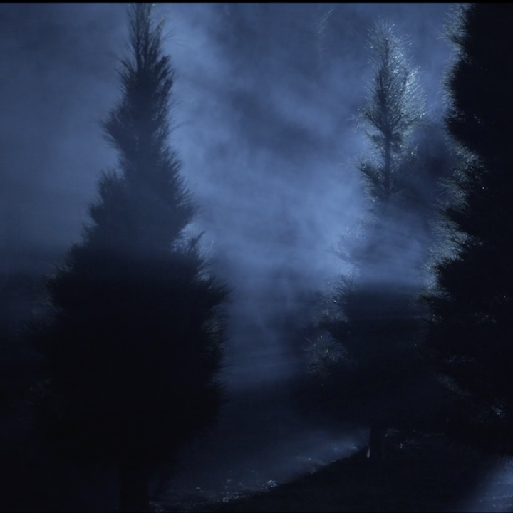 Mystic Pines