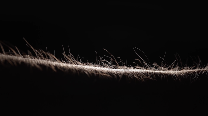 Porsche - Trade for Thrill