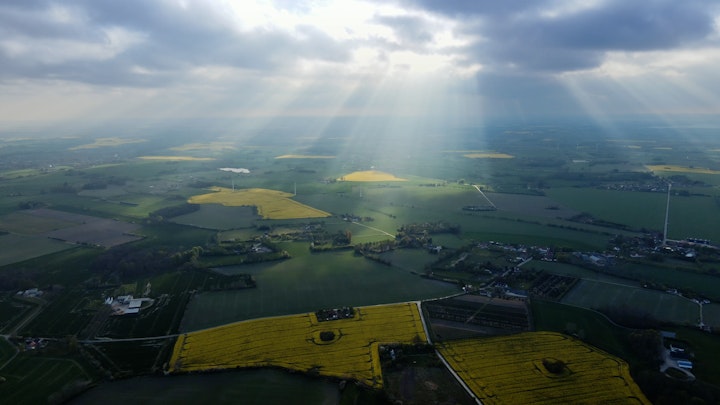 How I Became a Farmer