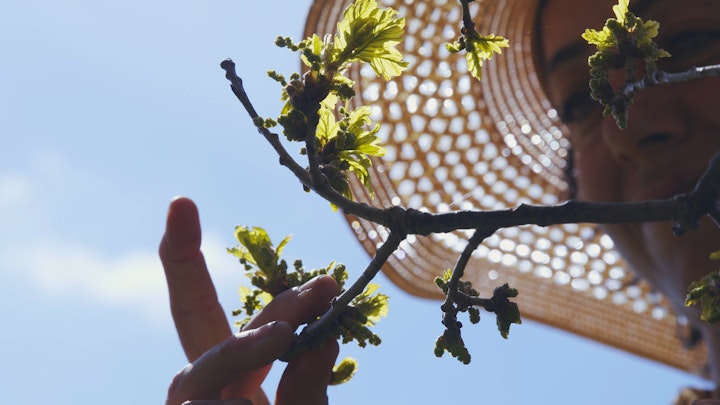 How I Became a Farmer