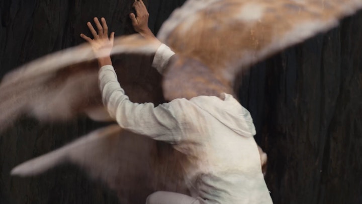 Rachel and Owl, The Rewilding, Limited Edition Film Stills