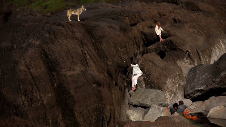 Brown Rocks, The Rewilding, Limited Edition Film Stills