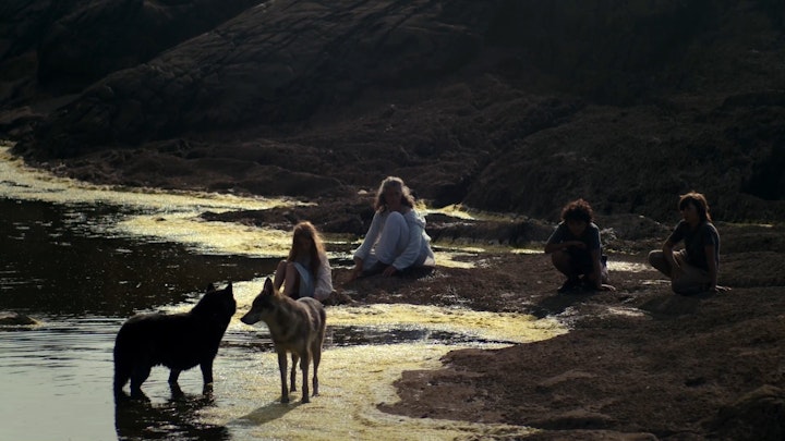 Sitting With Wolves, The Rewilding, Limited Edition Film Stills