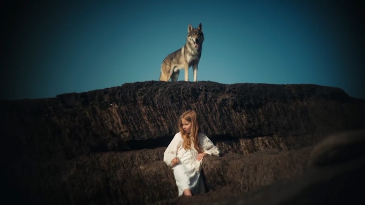 Ellie & Wolf, The Rewilding, Limited Edition Film Stills