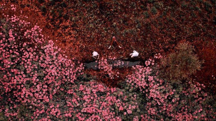 Rebirth, Film Still