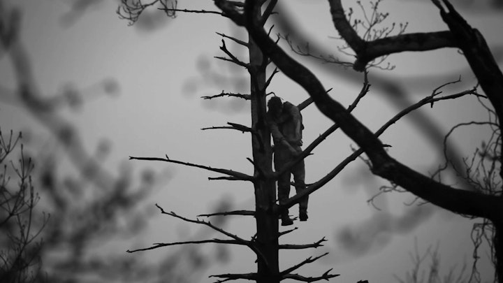 Luke hanging from tree, Film Still