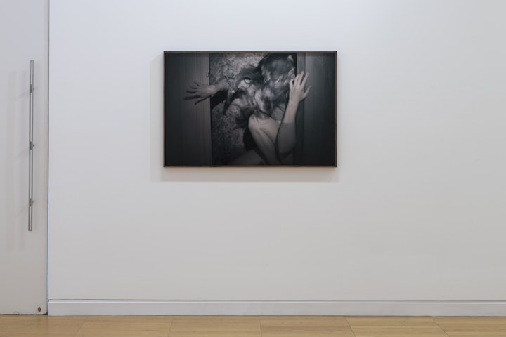 Leaf Storm, 2014, Luan Gallery. Exhibition Documentation by Louis Haugh