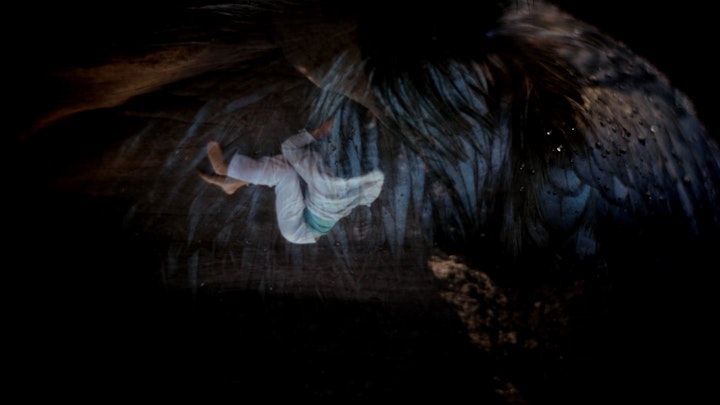 Dreaming Rachel & Owl, The Rewilding, Limited Edition Film Stills