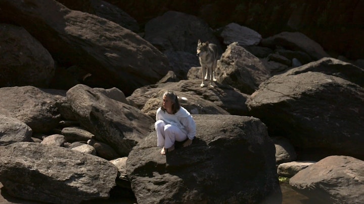 Rachel Wolf Looking, The Rewilding, Limited Edition Film Stills