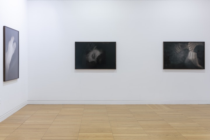 Orphee 1, 2 & 3, 2014, Luan Gallery. Exhibition Documentation by Louis Haugh